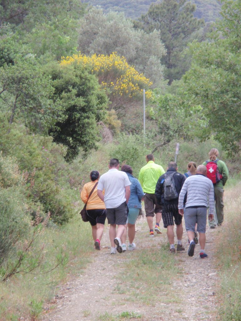 Landscapes-ThingsToDo-around-the-Lake-14-768x1024